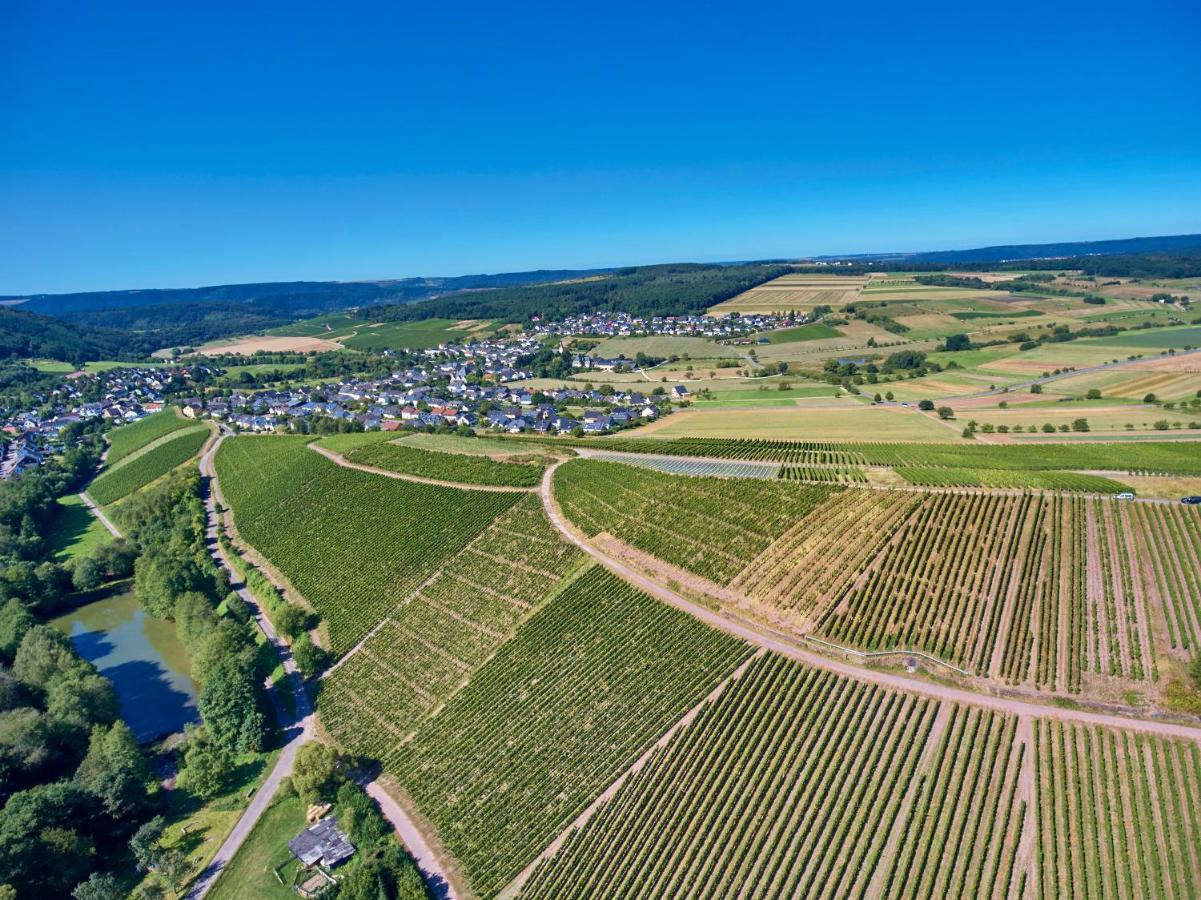 Ferienweingut Willems Oberemmel Exterior foto